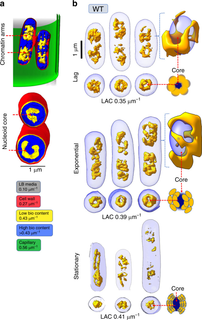 Fig. 2