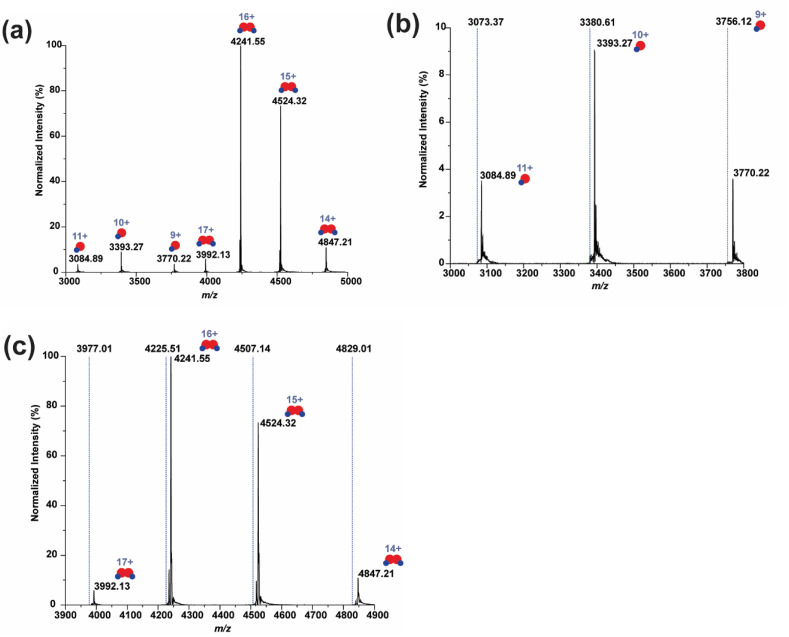 Fig. 3