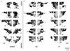 FIG. 6