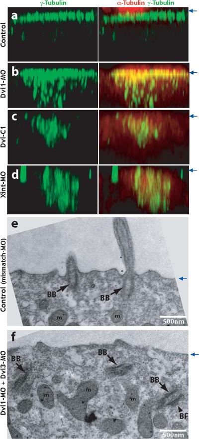 Figure. 3