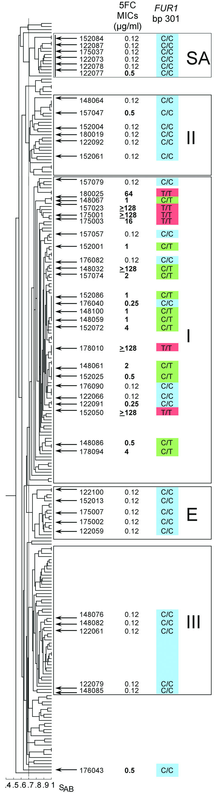 FIG.1.