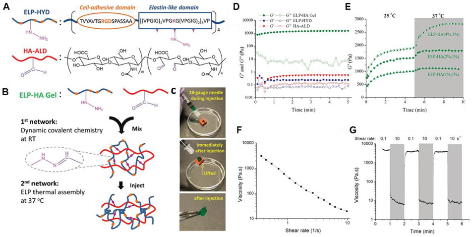 Figure 13.