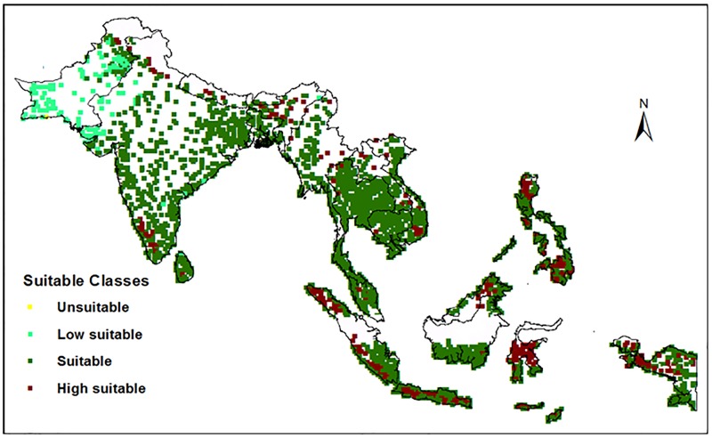 Fig 3