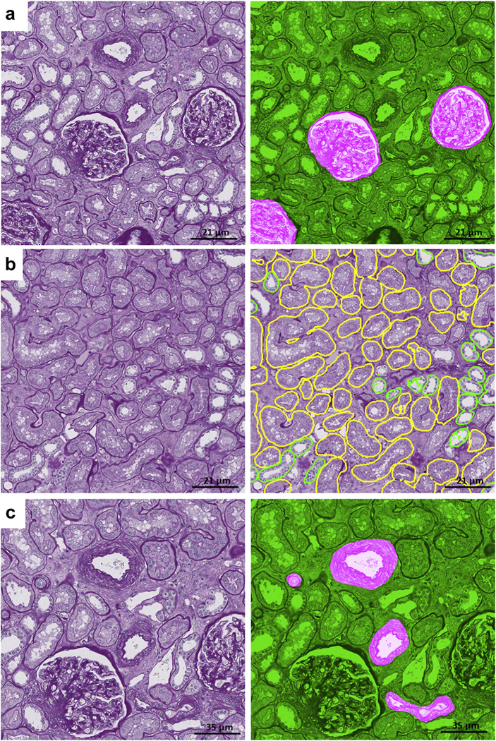 Figure 6|