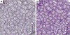 Figure 7|