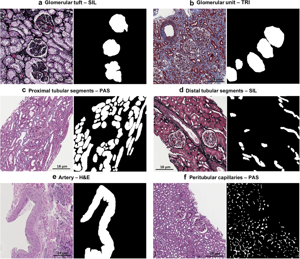 Figure 10|