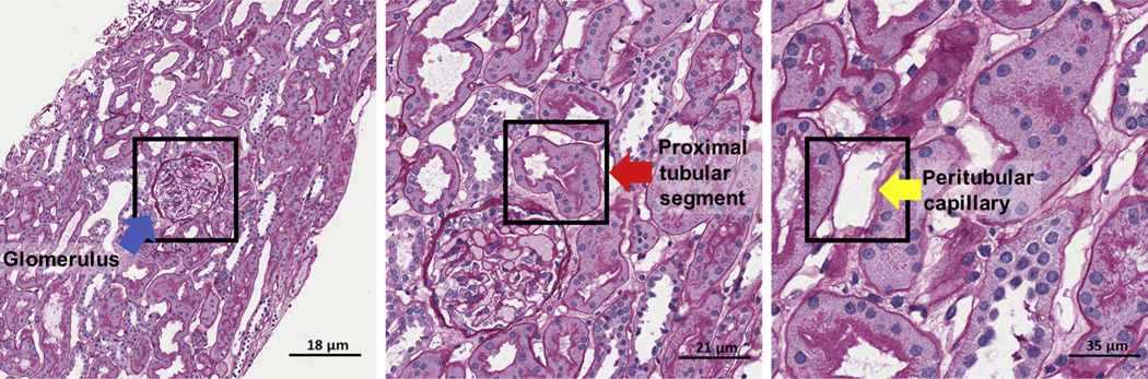 Figure 1|