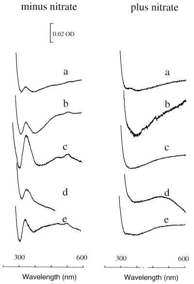 FIG. 5