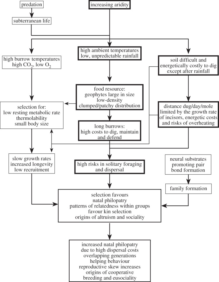 Figure 2.