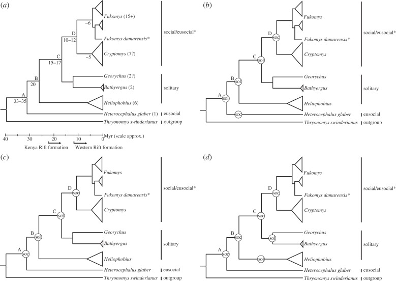 Figure 1.