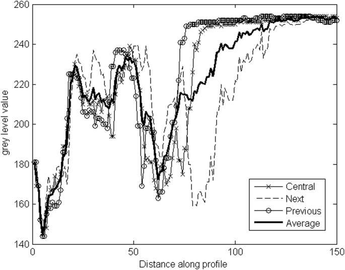 Fig. 4