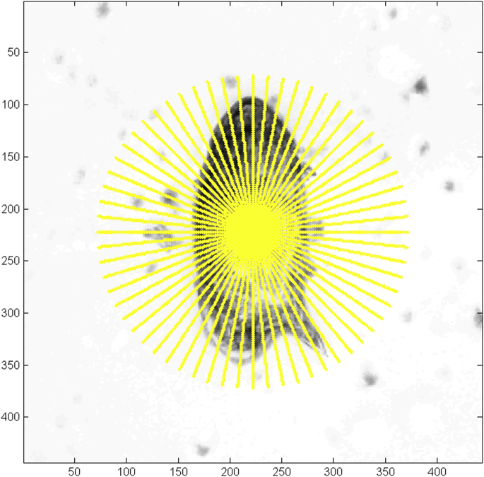 Fig. 3