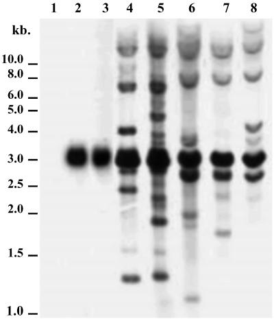 Fig 2.