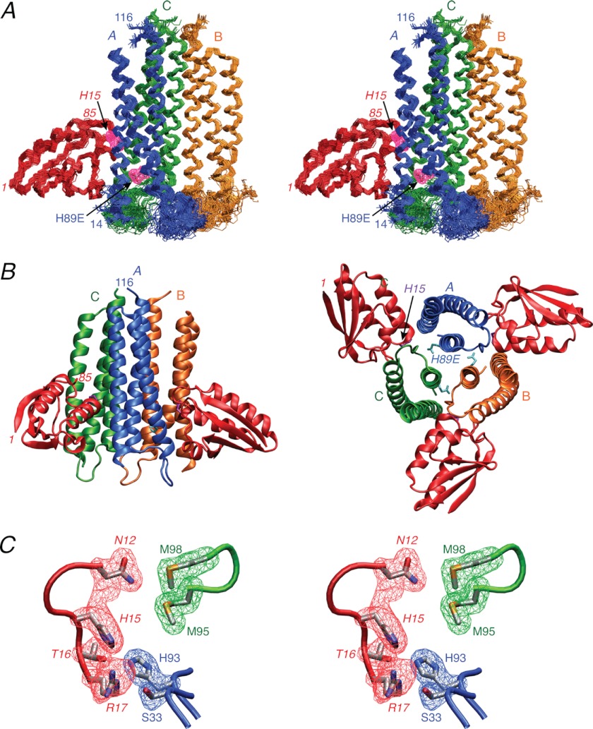 FIGURE 3.