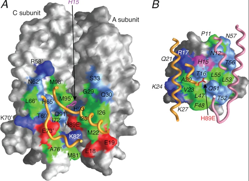 FIGURE 4.