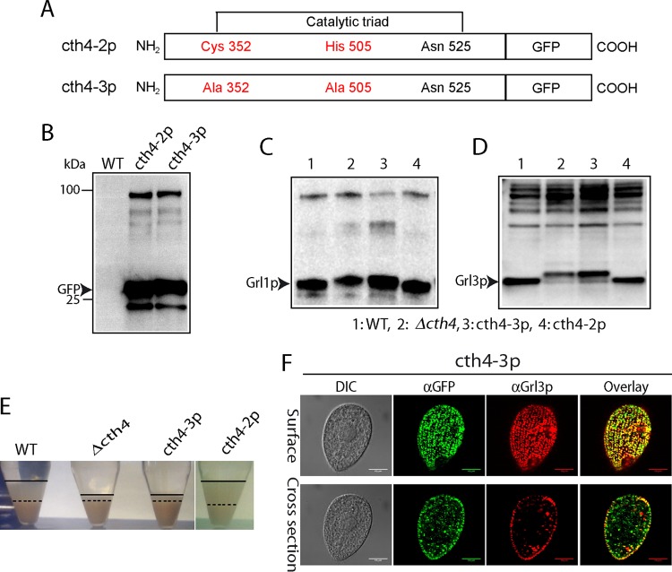 FIG 10