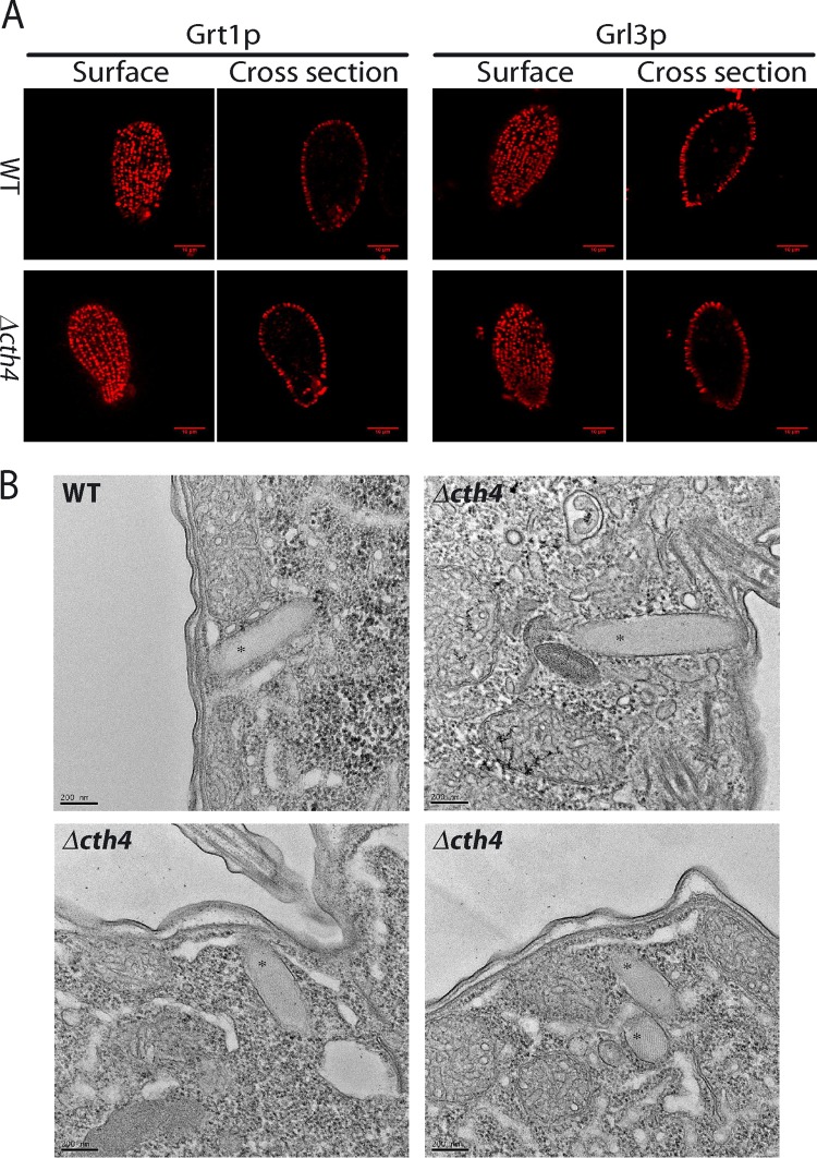 FIG 6