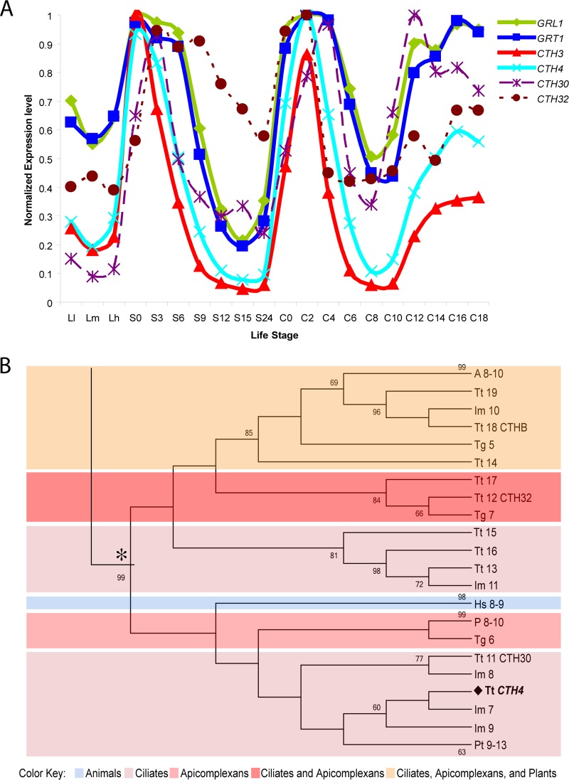 FIG 1