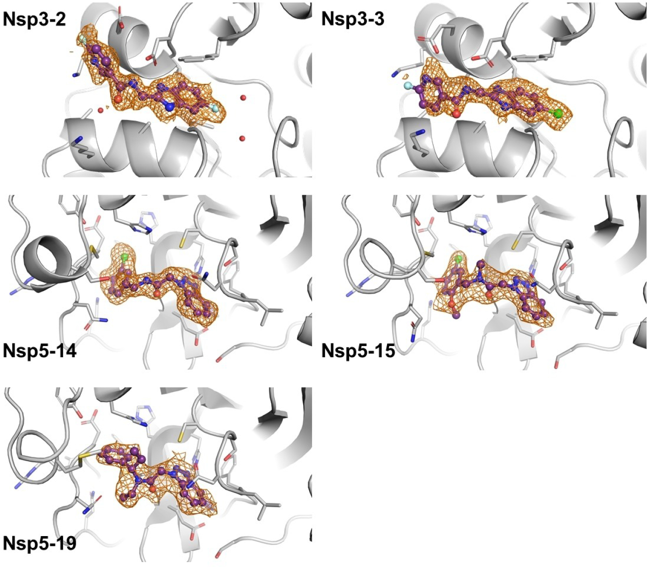 FIGURE 7