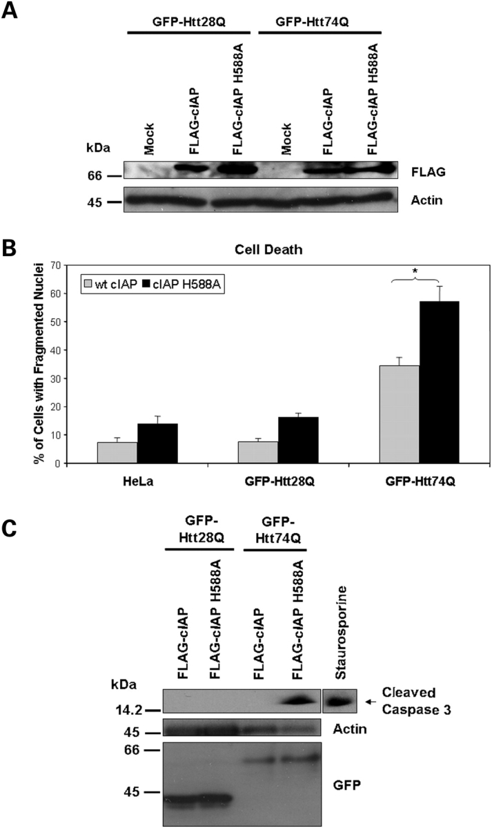 Figure 7.