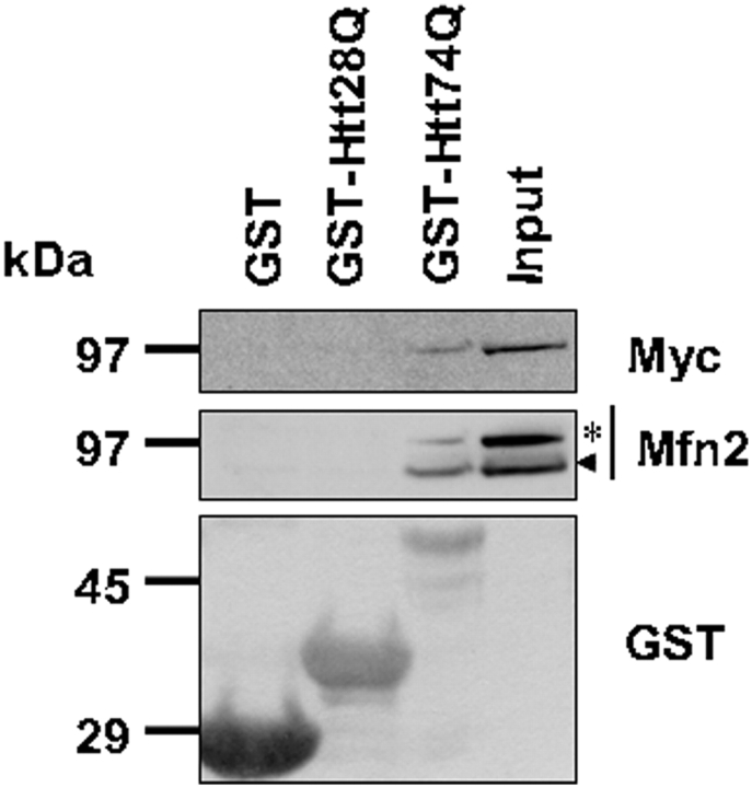 Figure 9.