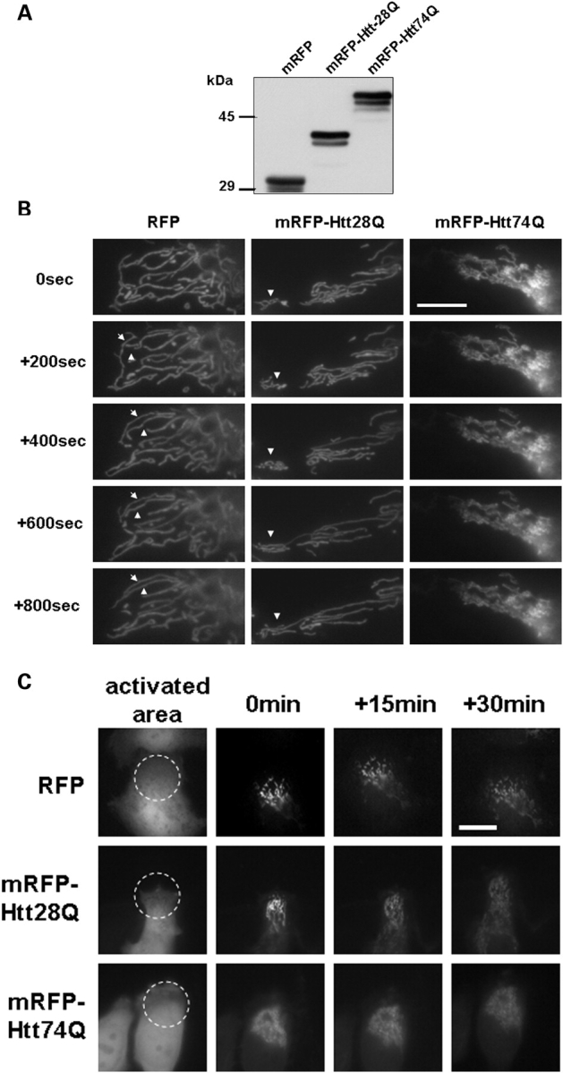 Figure 4.