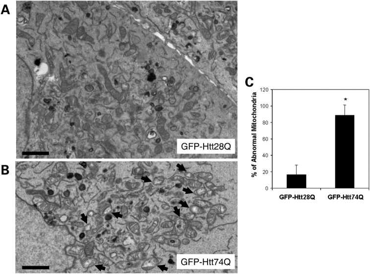 Figure 2.