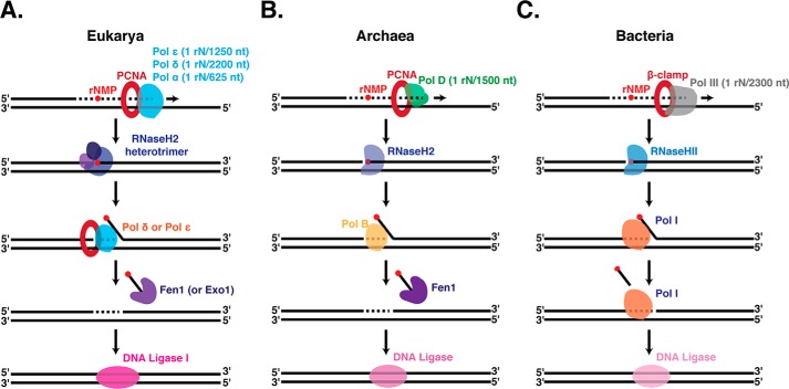 Figure 6.