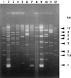 FIG. 6