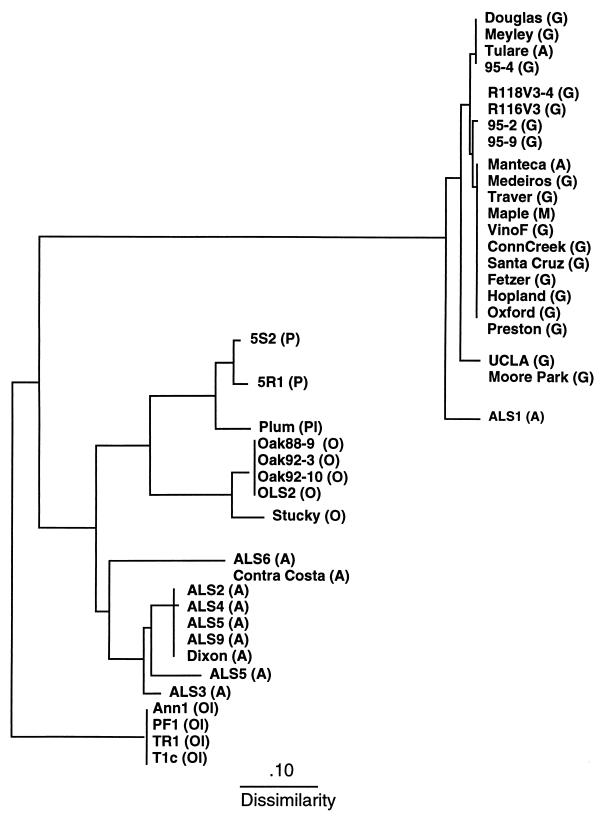 FIG. 5