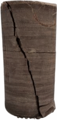 graphic file with name 41598_2024_60981_Figd_HTML.gif