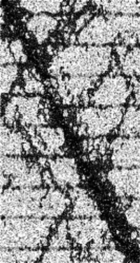 graphic file with name 41598_2024_60981_Figh_HTML.gif