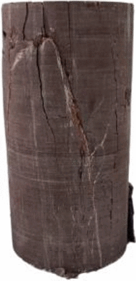 graphic file with name 41598_2024_60981_Figa_HTML.gif