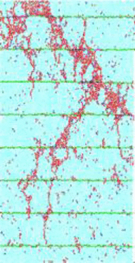 graphic file with name 41598_2024_60981_Figp_HTML.gif
