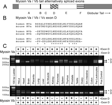 FIGURE 1.