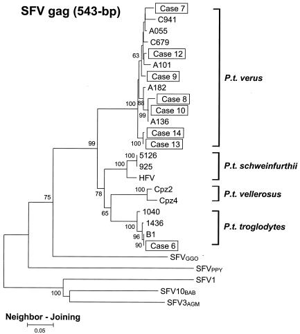 FIG. 3.