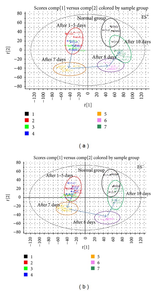 Figure 7