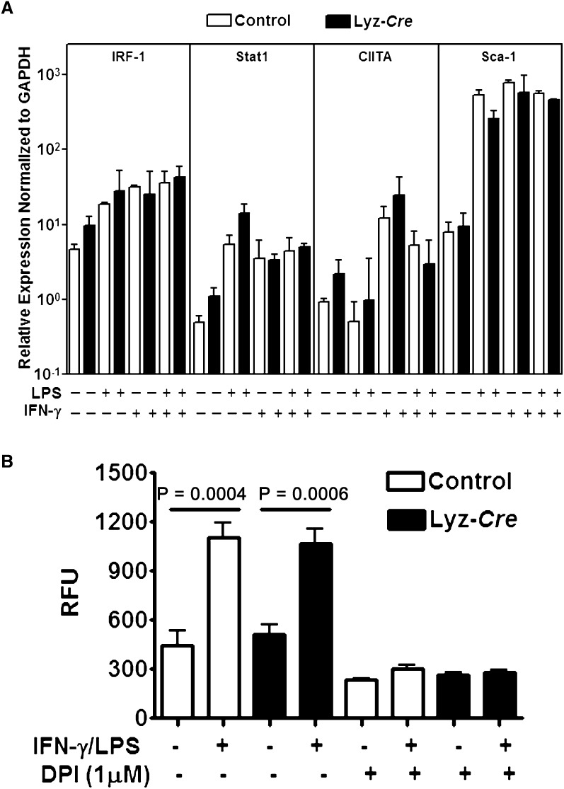 Figure 3