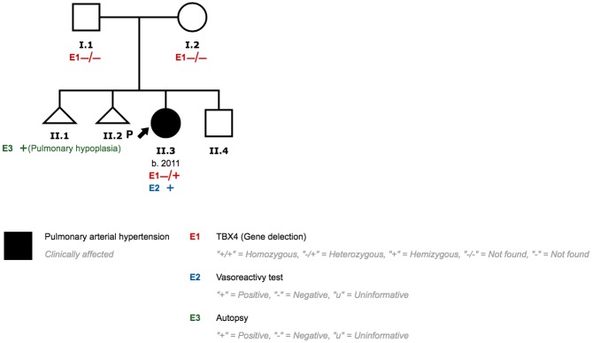 Fig 15