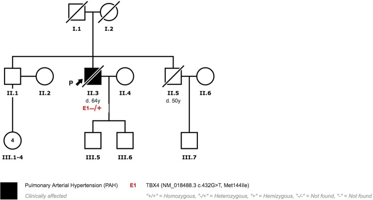 Fig 10