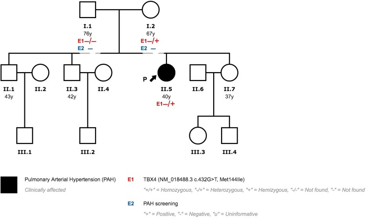 Fig 7