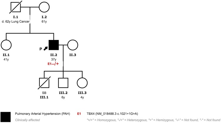 Fig 11