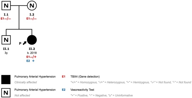 Fig 16