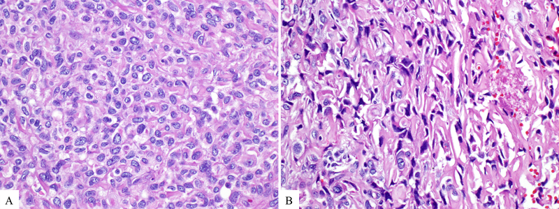 Figure 3: