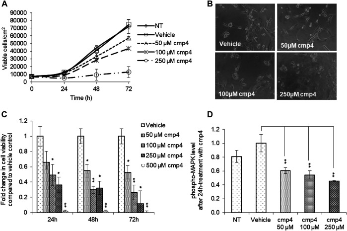 FIGURE 4