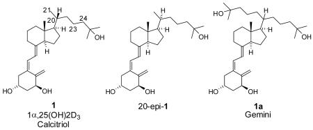 graphic file with name nihms-140445-f0001.jpg