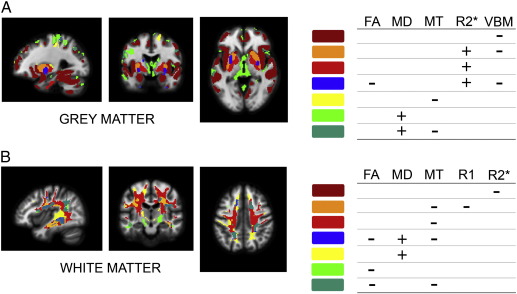 Fig. 4