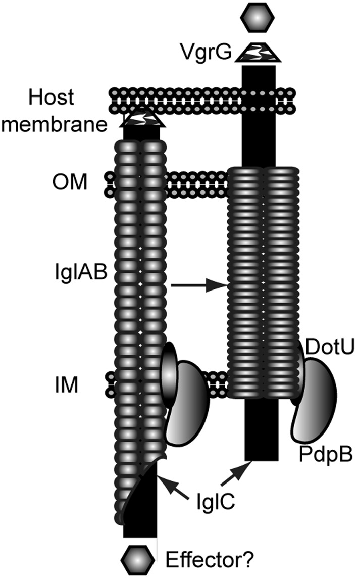 Fig. 6. 