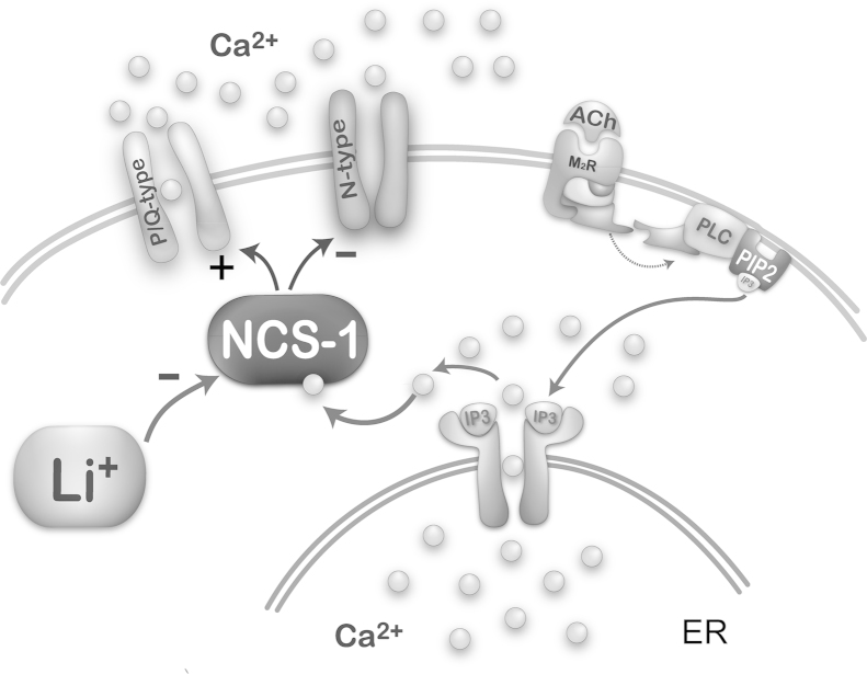 Fig. 2