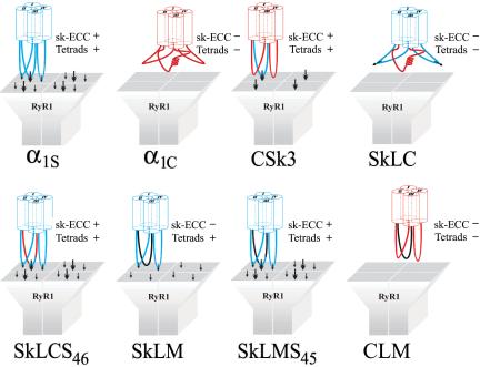 Figure 7.